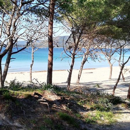 Nuovissimo Appartamento Con Terrazza Alghero Exterior photo