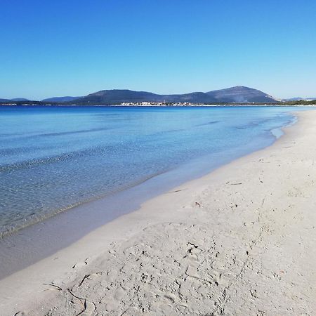 Nuovissimo Appartamento Con Terrazza Alghero Exterior photo